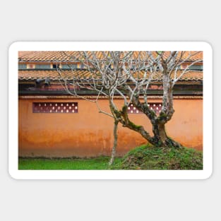 Tree in Hung To Mieu Temple Complex Sticker